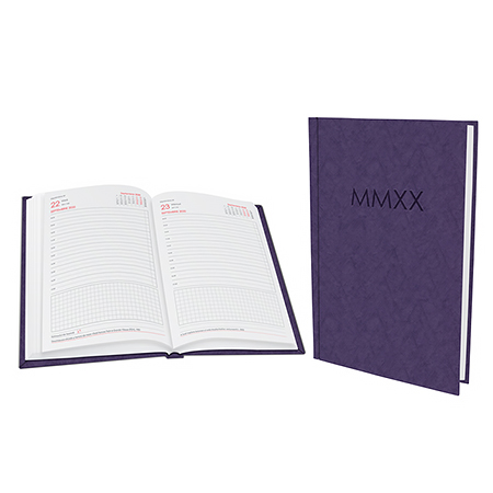 Agenda Basic Plus