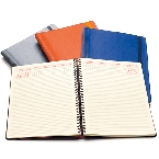 Agenda Idea
