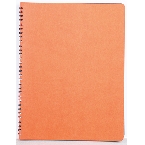 Agenda Siena
