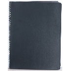 Agenda Siena