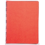 Agenda Siena