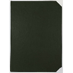 Agenda Linea