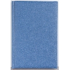 Agenda Basic