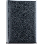 Agenda Basic