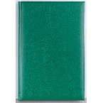 Agenda Basic